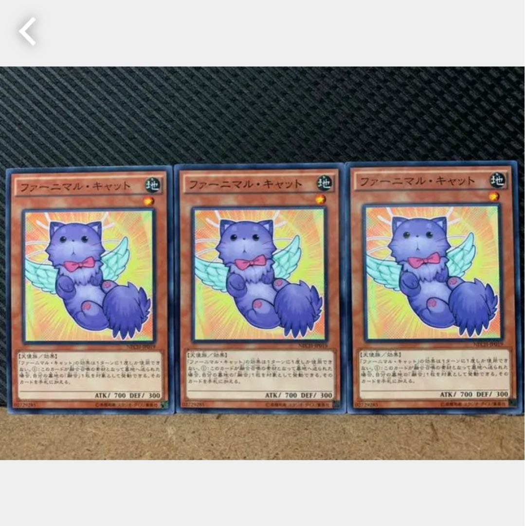 【ぽぽたん】遊戯王 623 ファーニマル・キャット 3枚 ノーマル