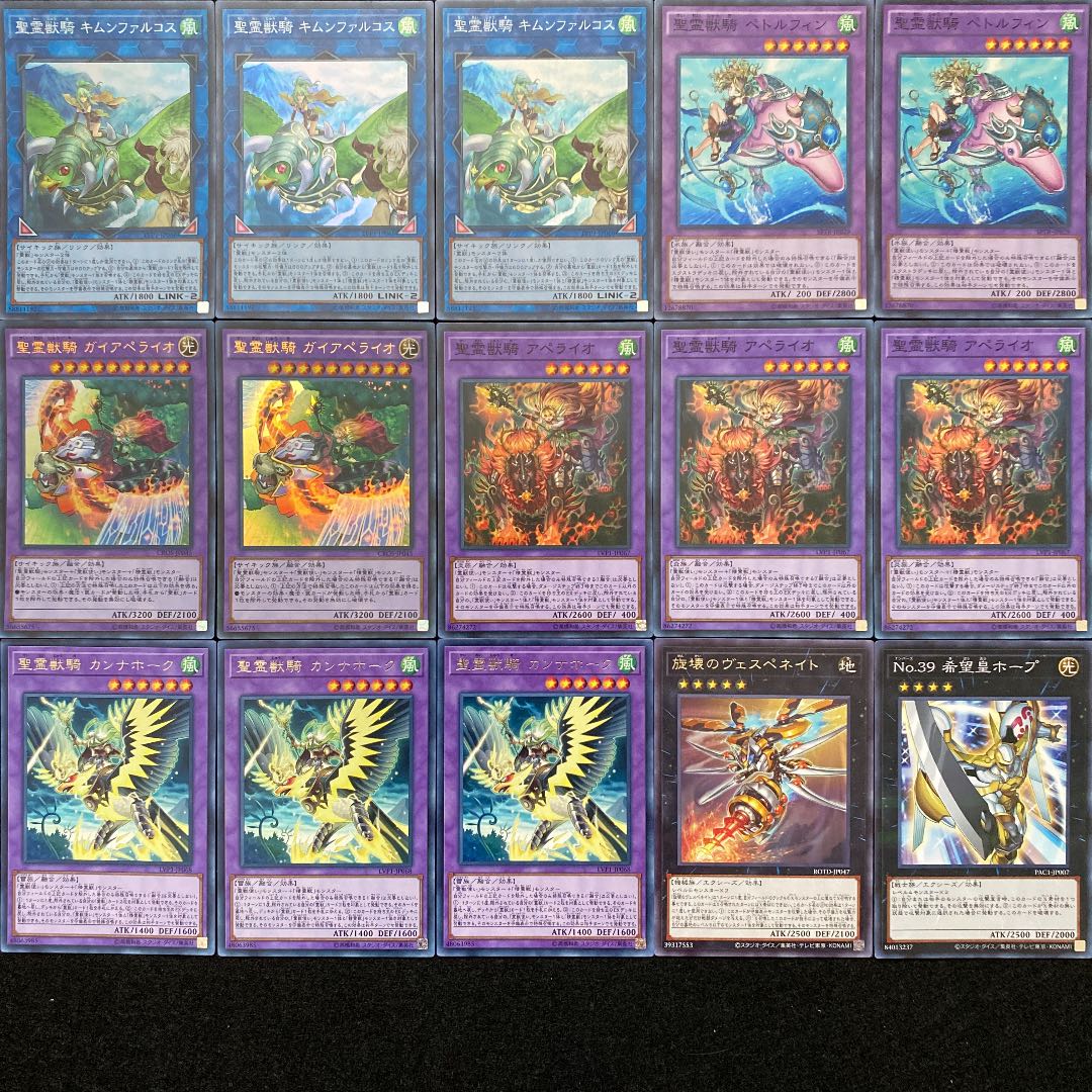 遊戯王 本格構築 霊獣デッキ メイン＋EX 　精霊獣使い