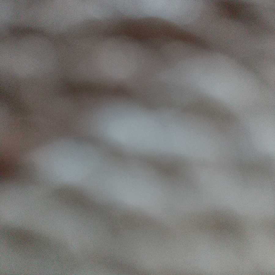 ~なぎ様専用~コルニの気合い HR