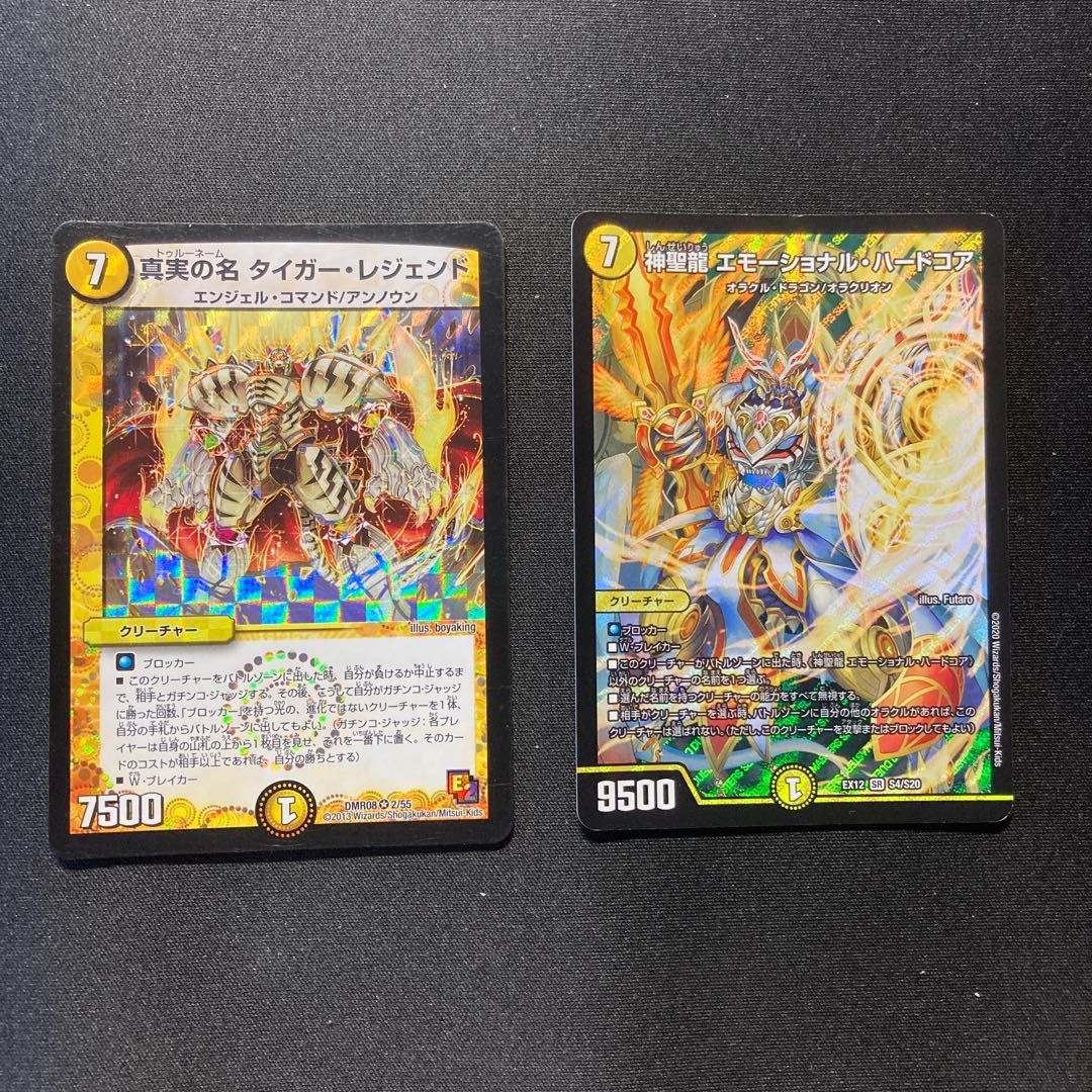 神聖龍 エモーショナル・ハードコア　セット