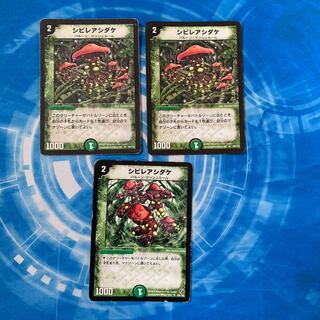 シビレアシダケ　2002