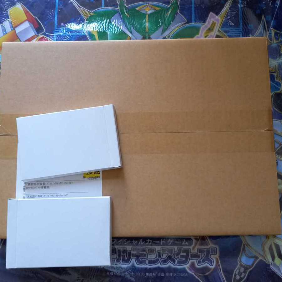 【10口分】真紅眼の黒竜プリレアゲットオリパ 【演出オリパ・遊戯王】