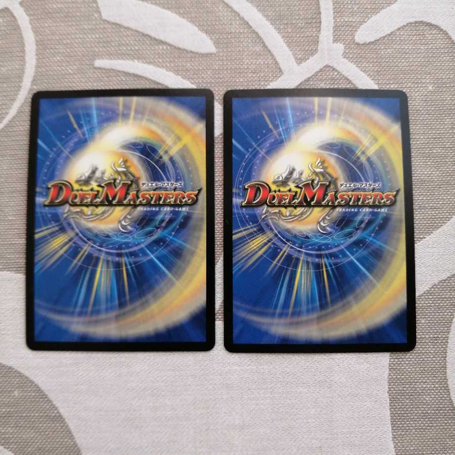 雷龍 ヴァリヴァリウス