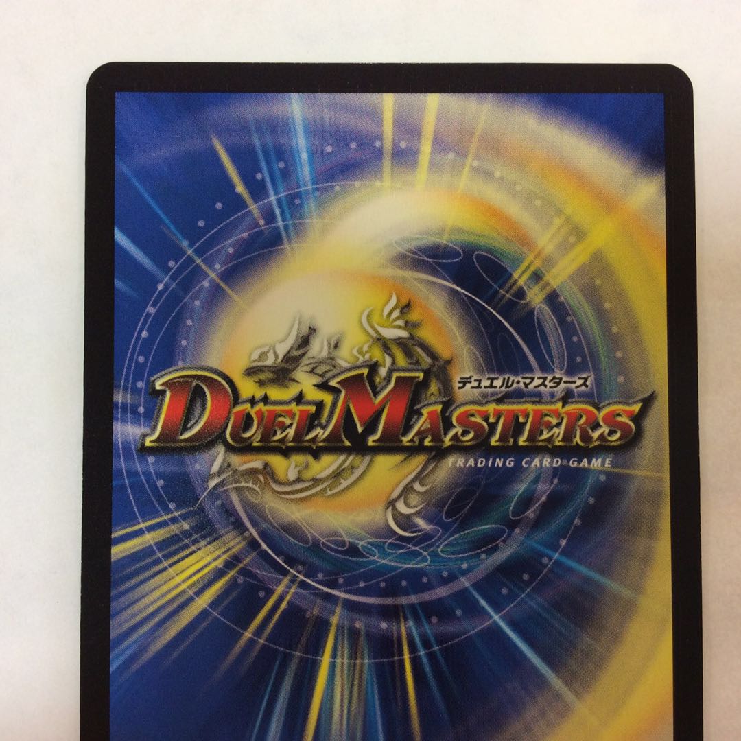 (美品)偽りの王 ヴィルヘルム 20th 18A/20