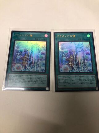 アラメシアの儀2枚セット