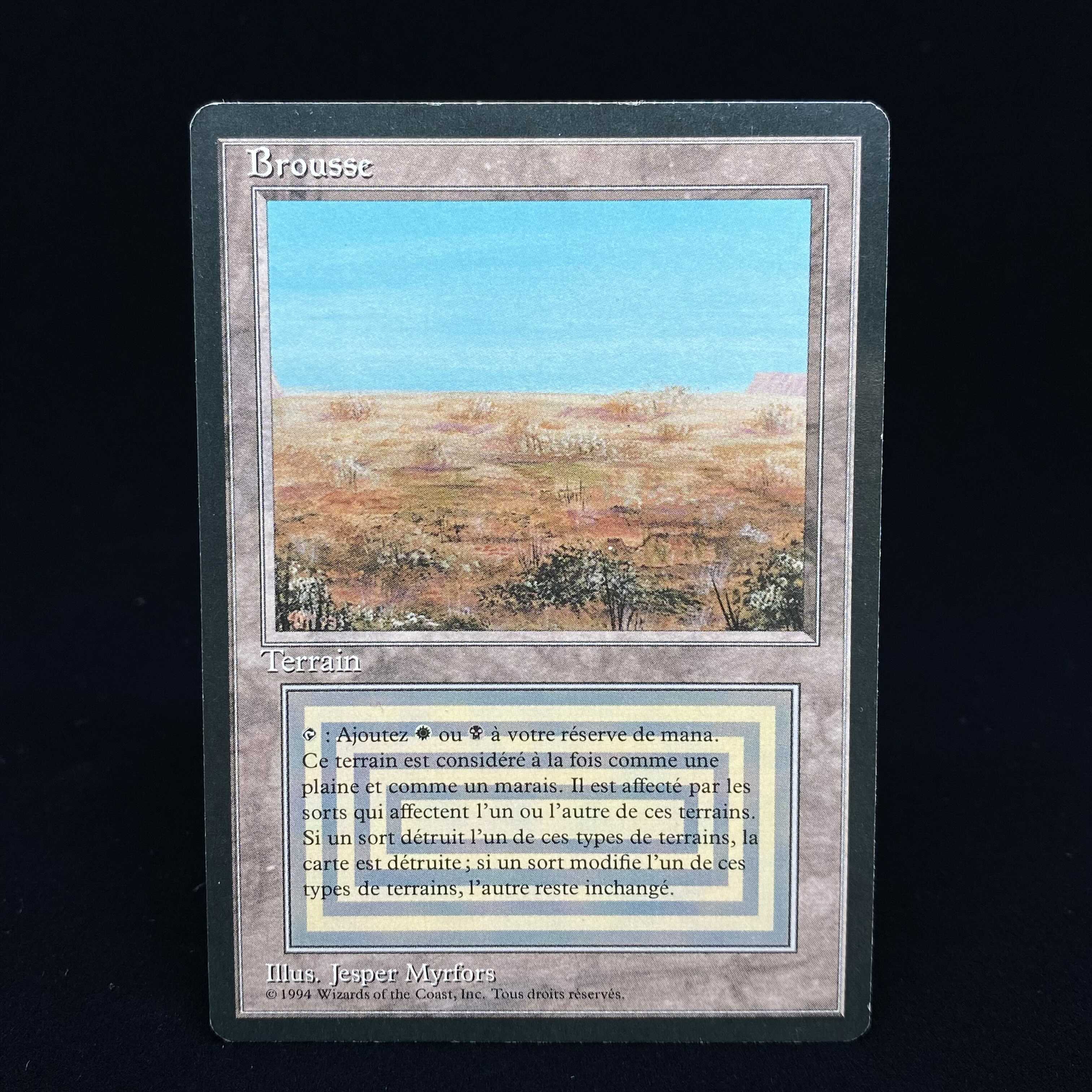 Scrubland FFB French version 1枚