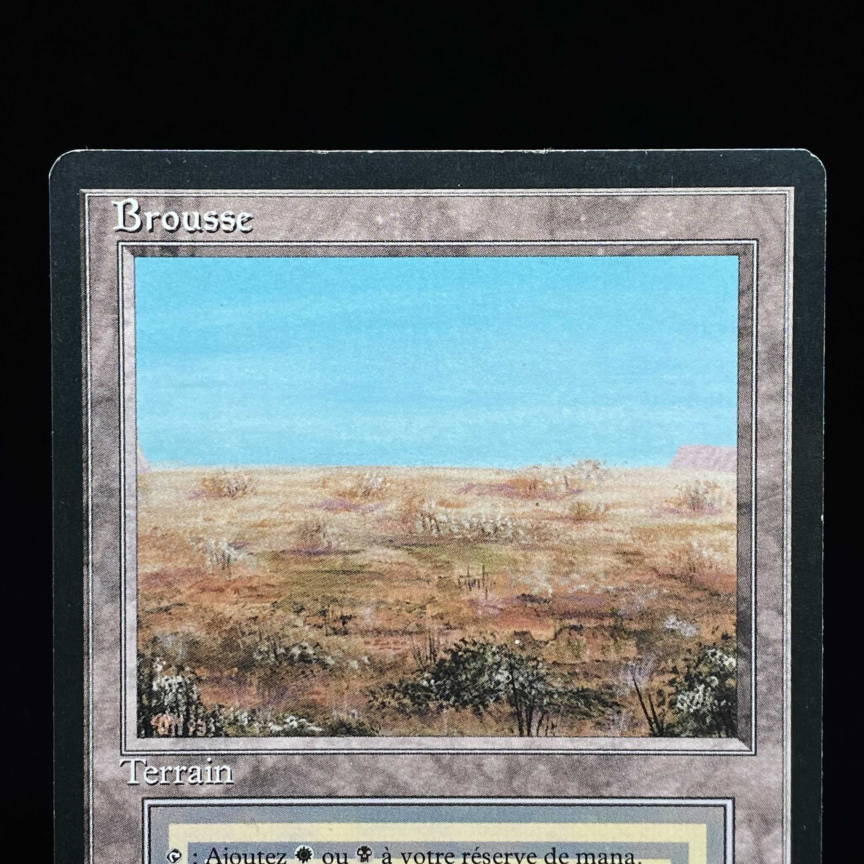 Scrubland FFB French version 1枚