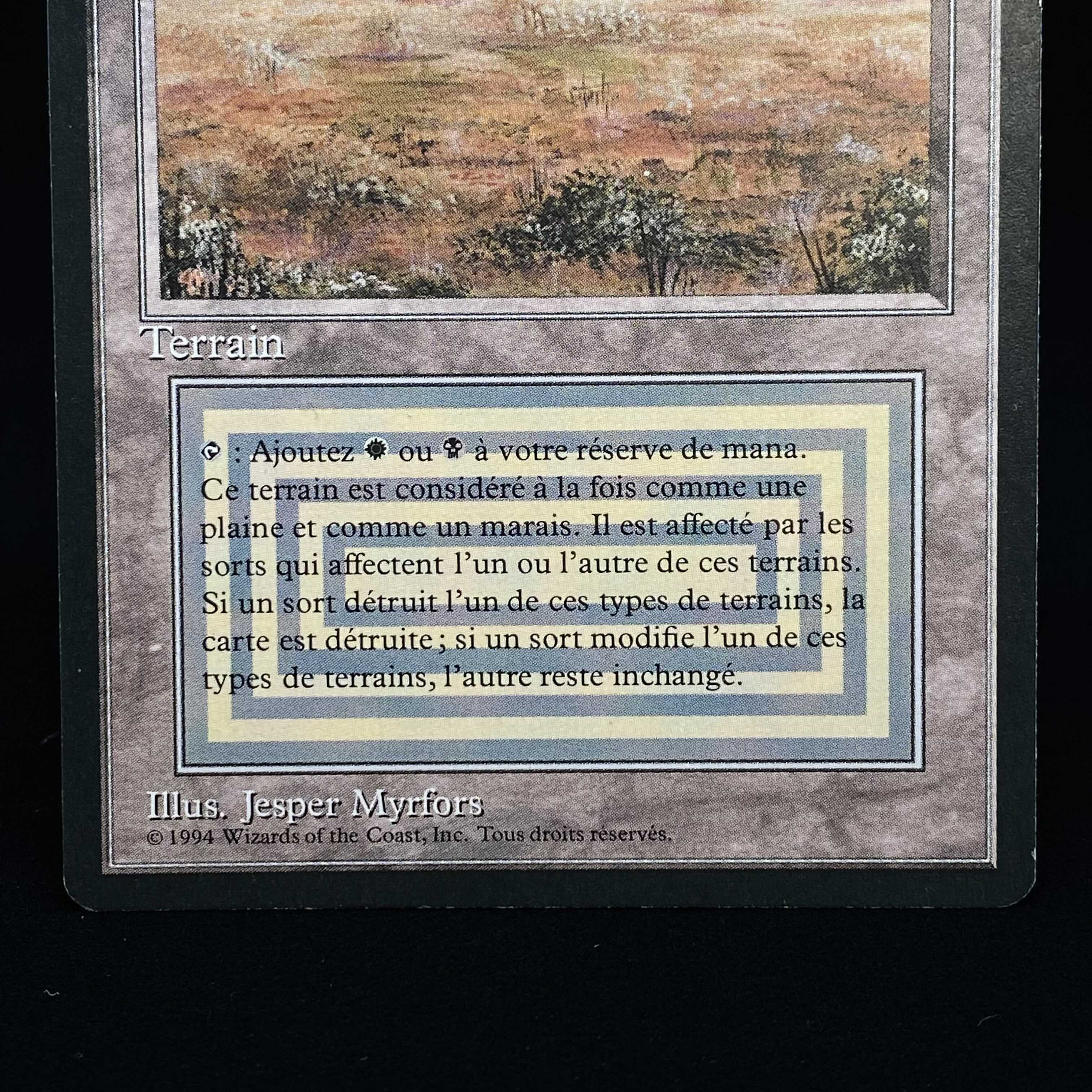 Scrubland FFB French version 1枚