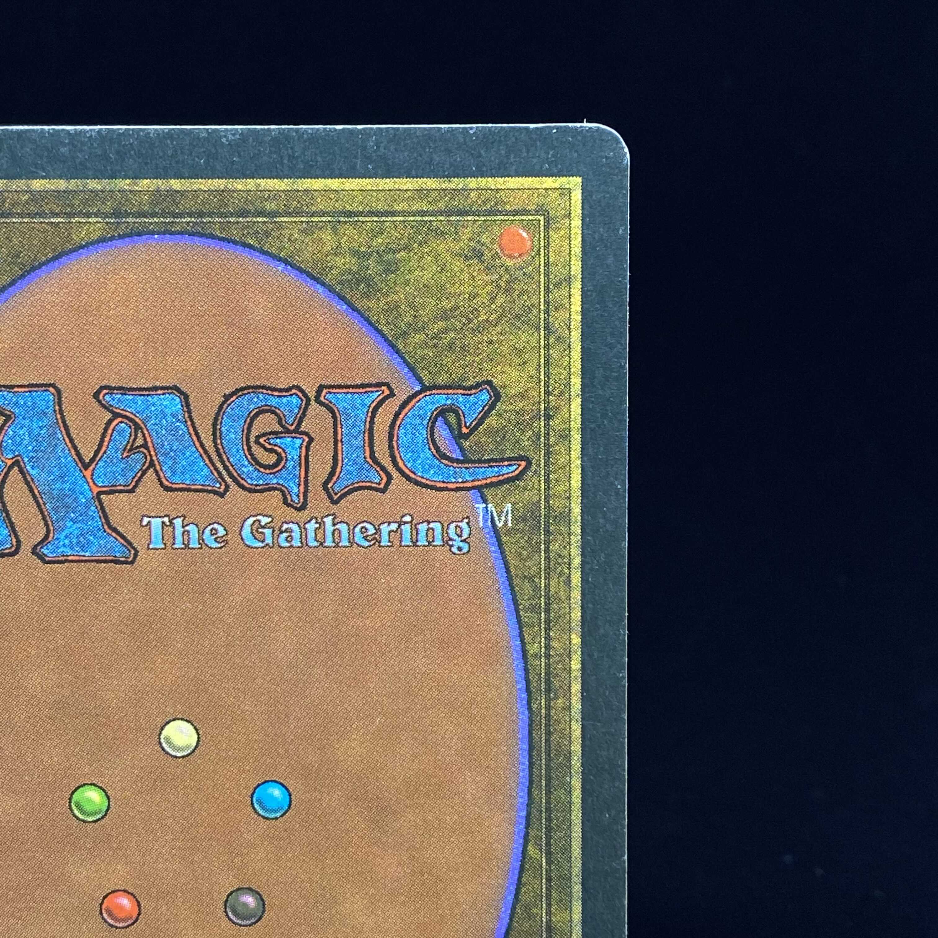 Scrubland FFB French version 1枚