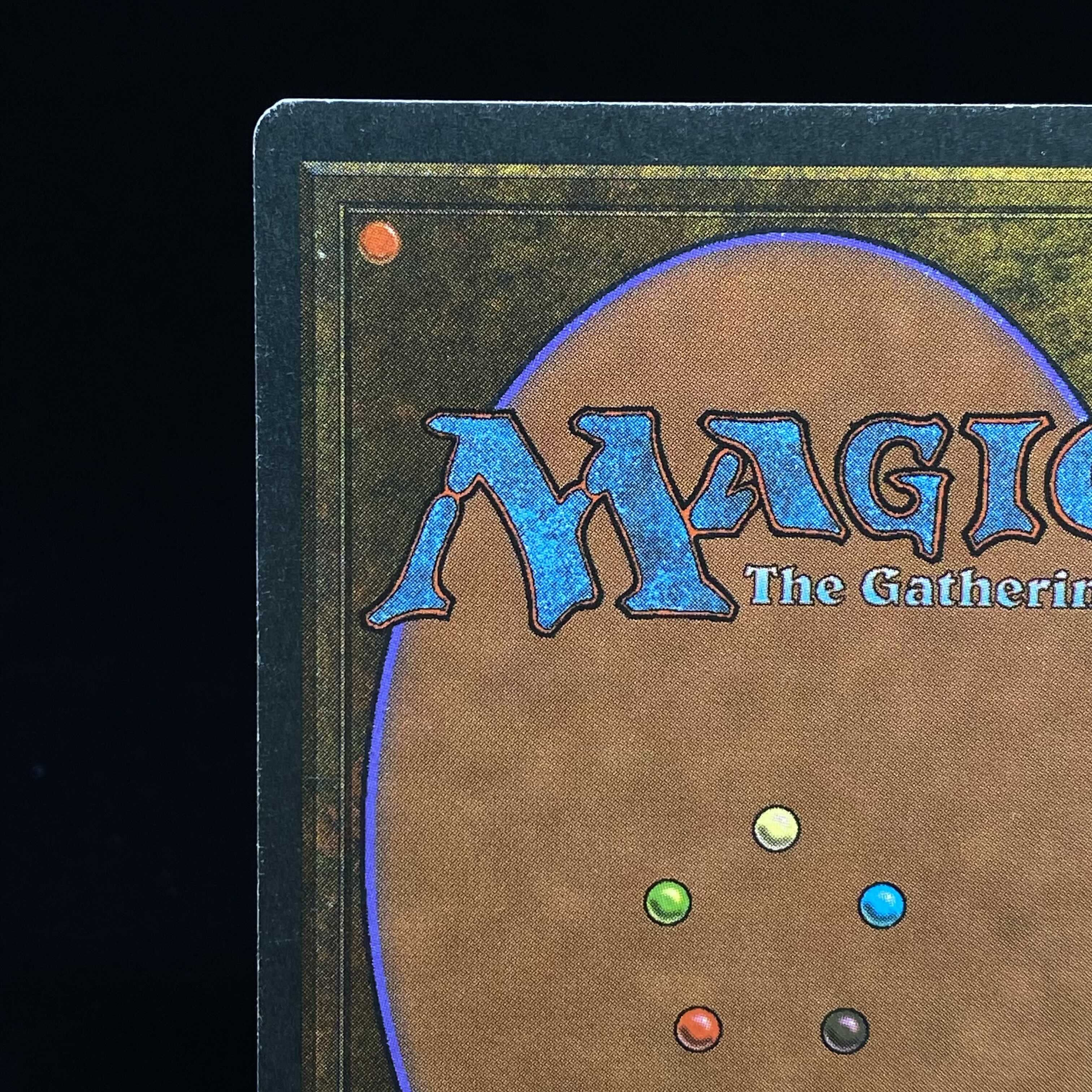 Scrubland FFB French version 1枚