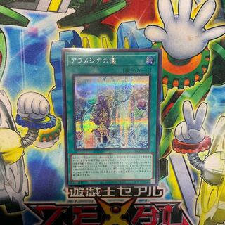 アラメシアの儀