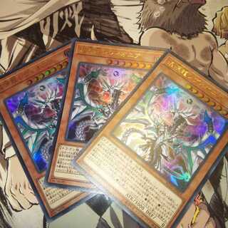 混源龍レヴィオニア