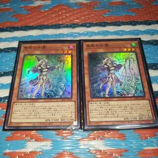 聖殿の水遣い　スーパーレア2枚セット