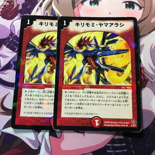 キリモミヤマアラシ 2枚