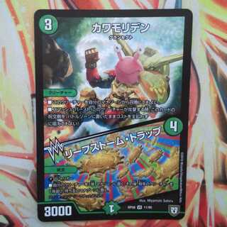 カワモリデン/リーフストーム・トラップ