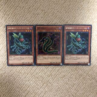 捕食植物オフリス・スコーピオ...2、ダーリングコブラ...1