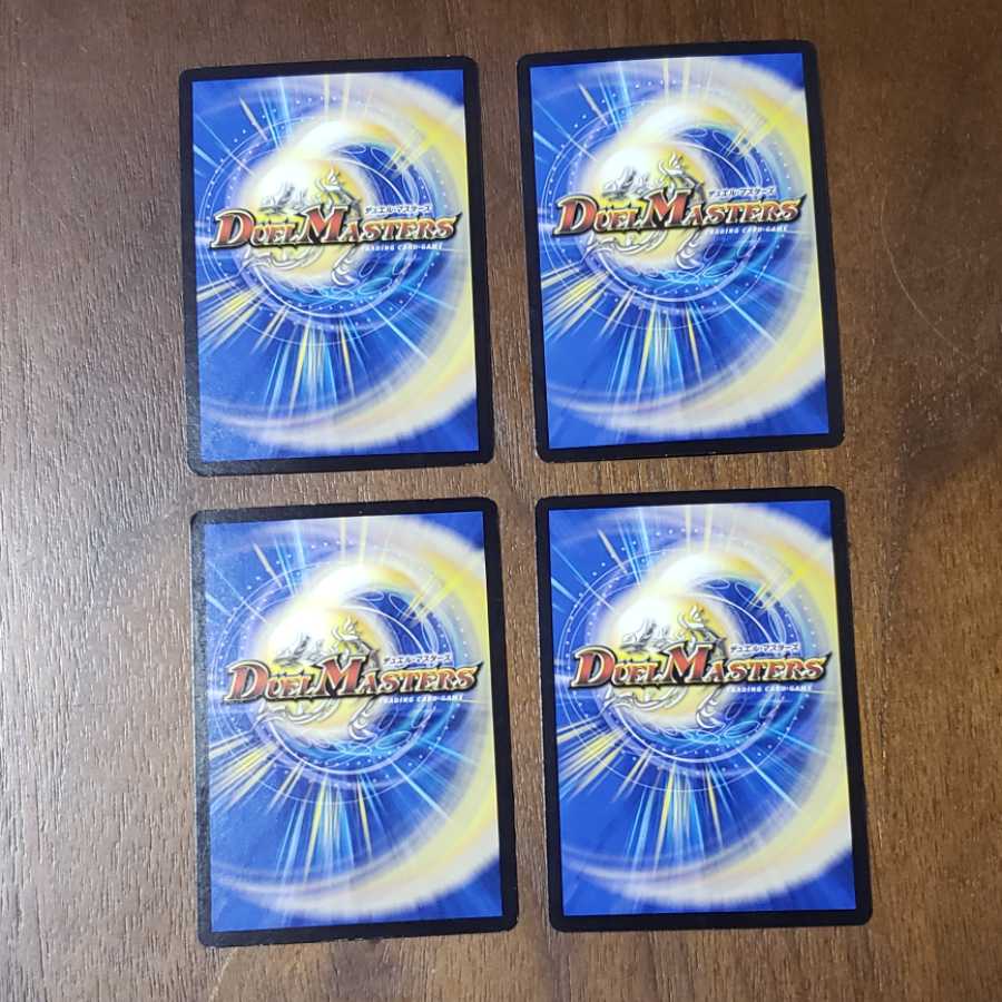 【即日発送】メッチャ映えタタキ4枚セット