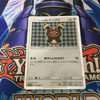 Eevee Umbreon in a poncho