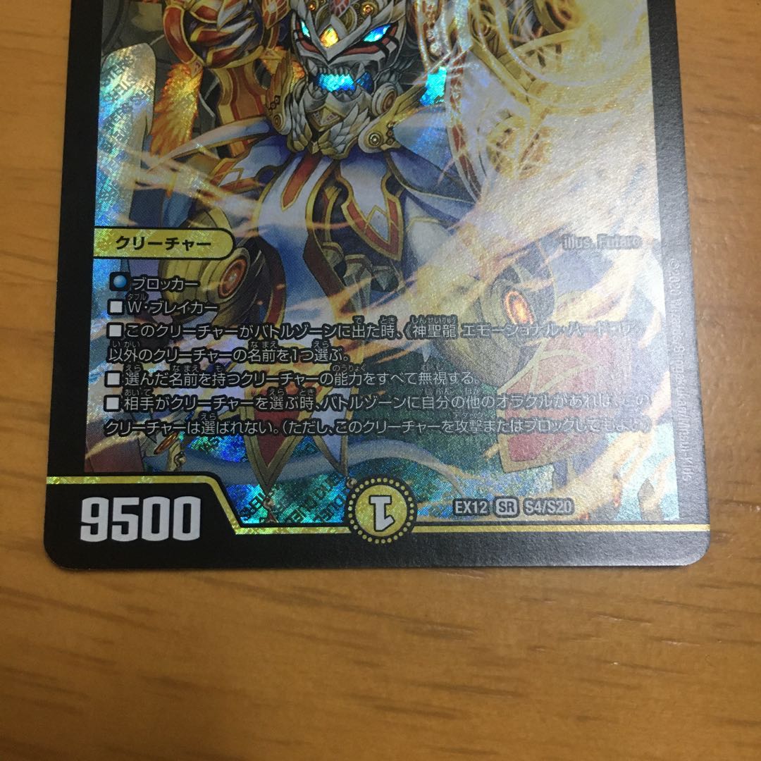 神聖龍 エモーショナル・ハードコア SR