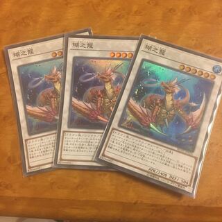 瑚之龍 スーパーレア