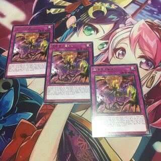 遊戯王　捕食計画　韓国