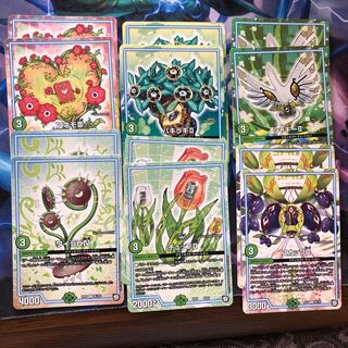 アネモ ワイラビ シャギー パキラキ スカップ チュップ 各2枚  ①