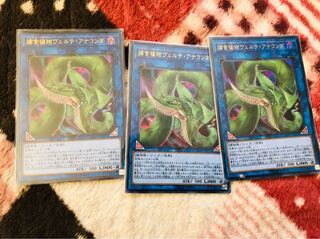 捕食植物ヴェルテアナコンダ 3枚セット