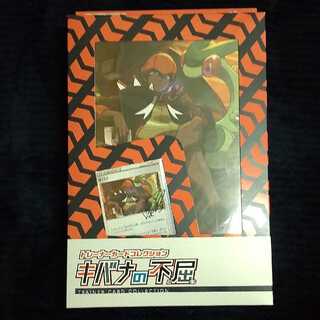 ちゃろ様専用【新品・未開封】キバナの不屈