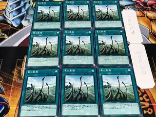 竜の霊廟 ノーマル 9枚セット