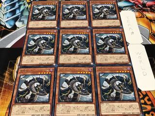 雷電龍-サンダー・ドラゴン レア 9枚セット