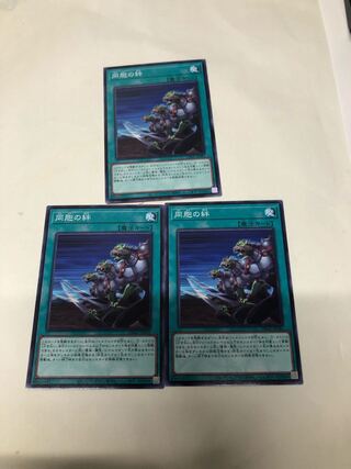 同胞の絆3枚セット