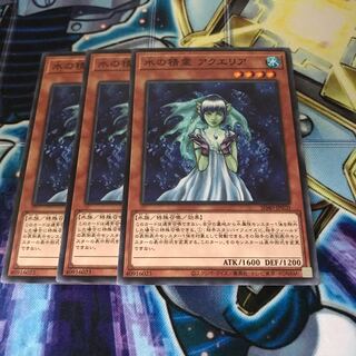 水の精霊 アクエリア ノーマル　Hulu 512