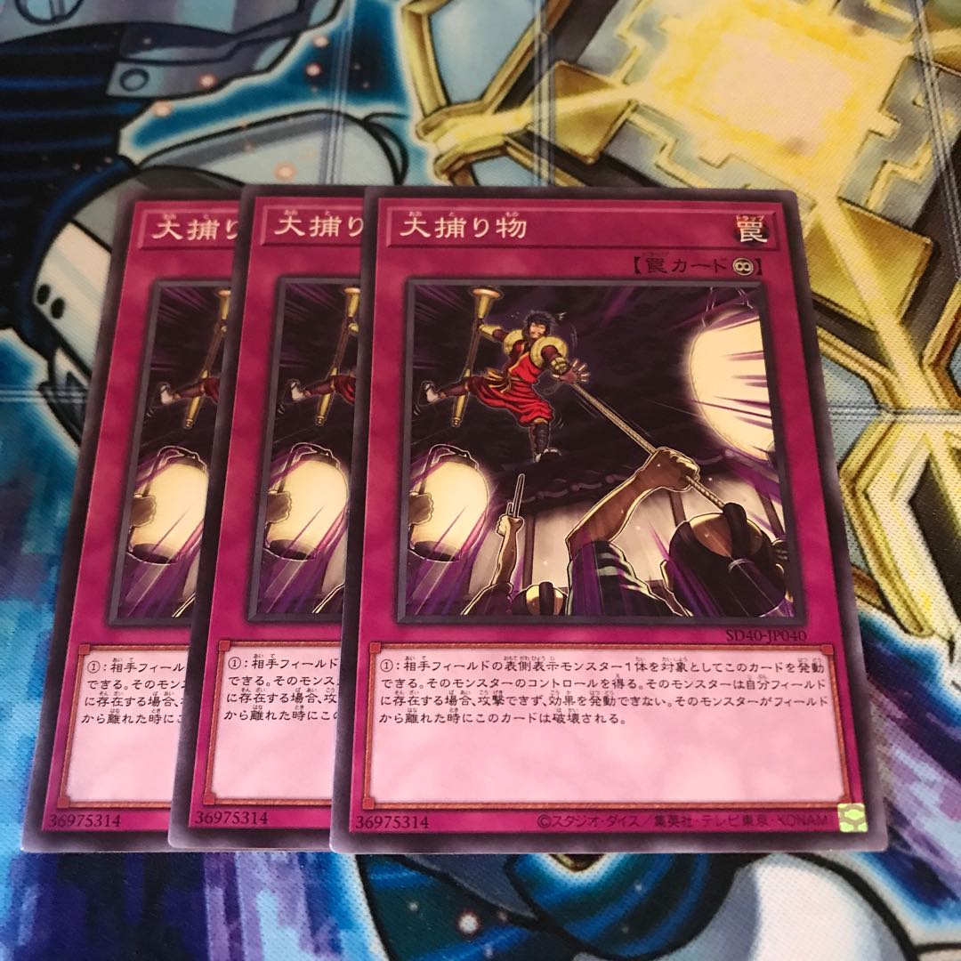 大捕り物 Hulu 517