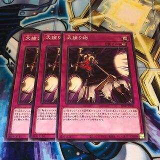 大捕り物　Hulu 517