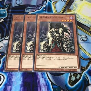 スカル・マイスター ノーマル　Hulu 533 1177