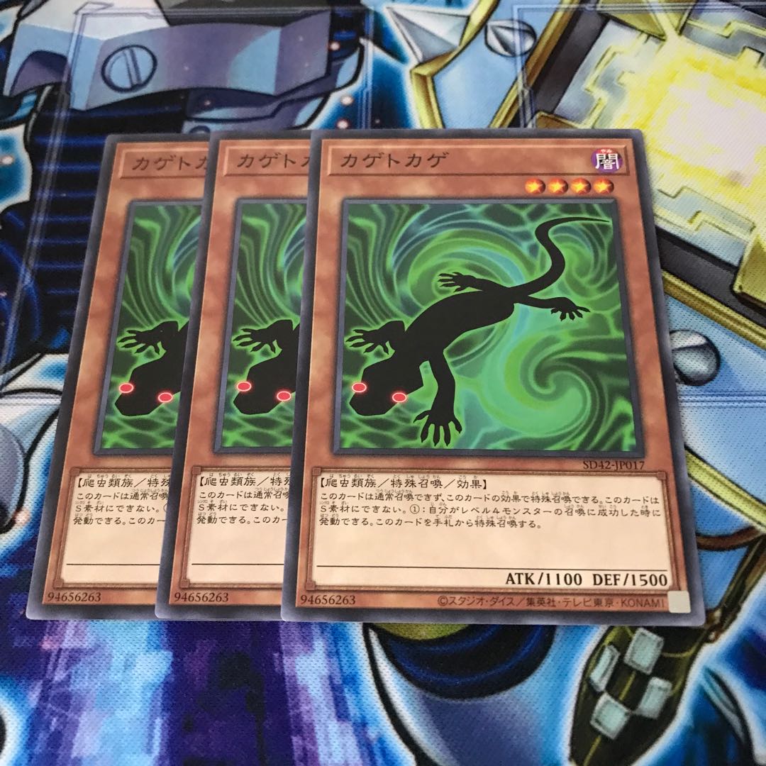 カゲトカゲ ノーマル Hulu 540