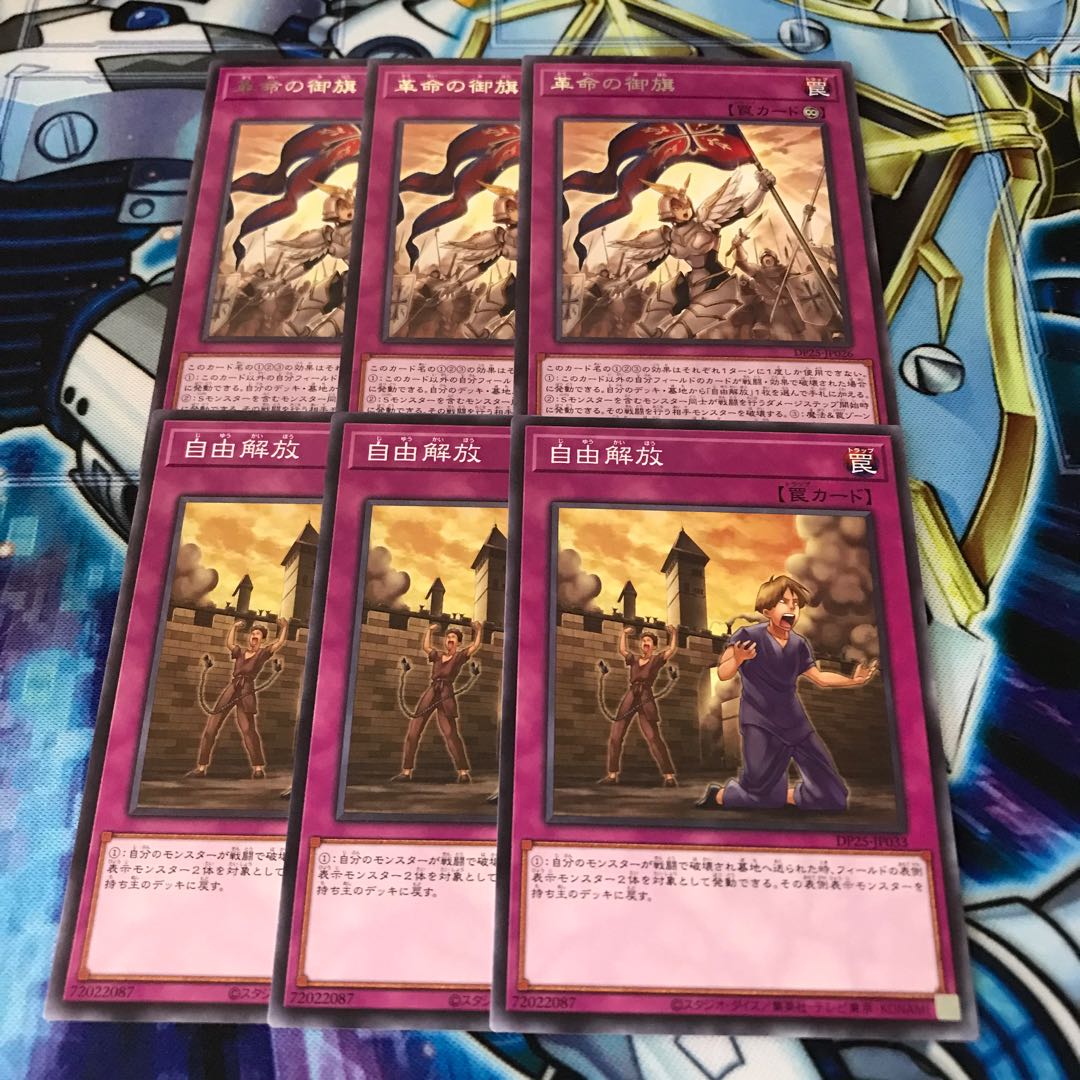 革命の御旗 自由解放 セット Hulu 559