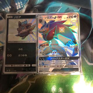 ゾロアーク 専用