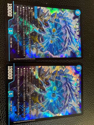 最安値！水上第九院 シャコガイル 2枚