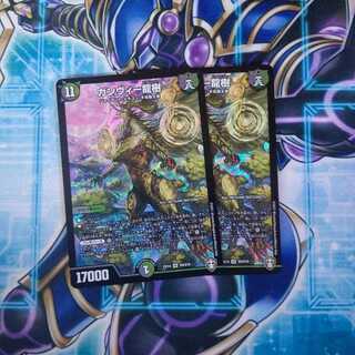 ガンヴィー龍樹 SR ２枚セット