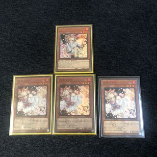 灰流うらら　4枚セット