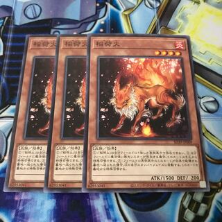 稲荷火 ノーマル　Hulu 570