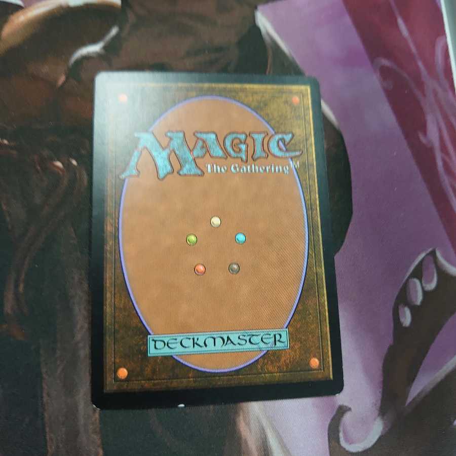 彩色の灯籠 Foil