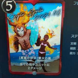 ［ 真夏の砂浜］業火の嵐