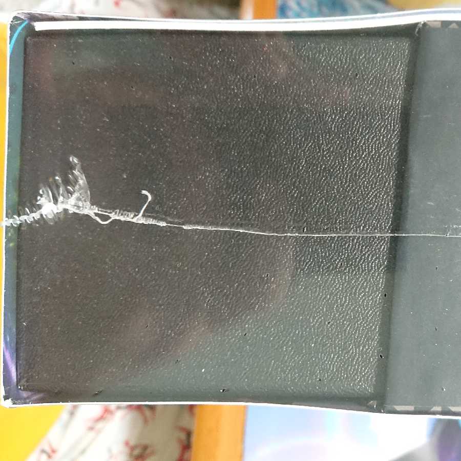 海外限定 エリートトレーナー ボックス チャンピオンズパス