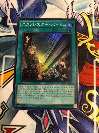 エクソシスターパークス　スーパー　1枚