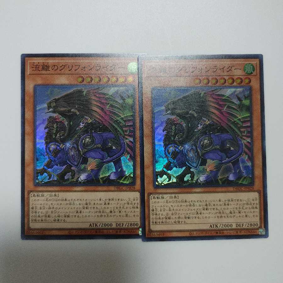 流離のグリフォンライダー