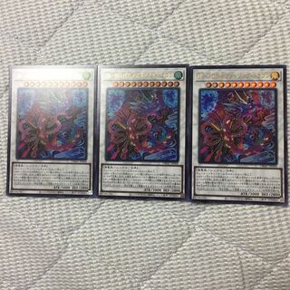 Uk-P.U.N.K . A Rosa Zing Dragon