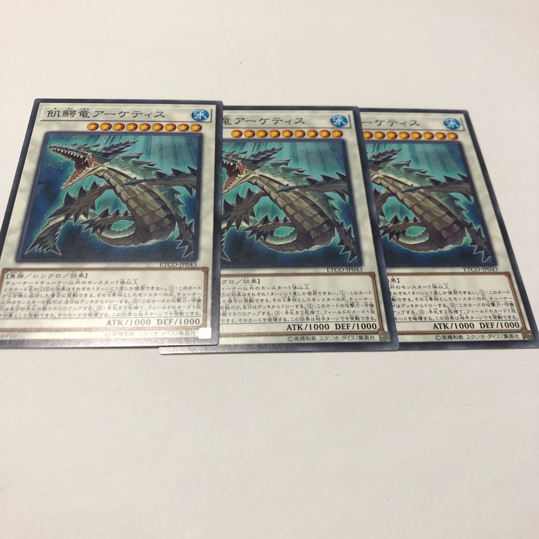 飢鰐竜アーケティス ノーマル