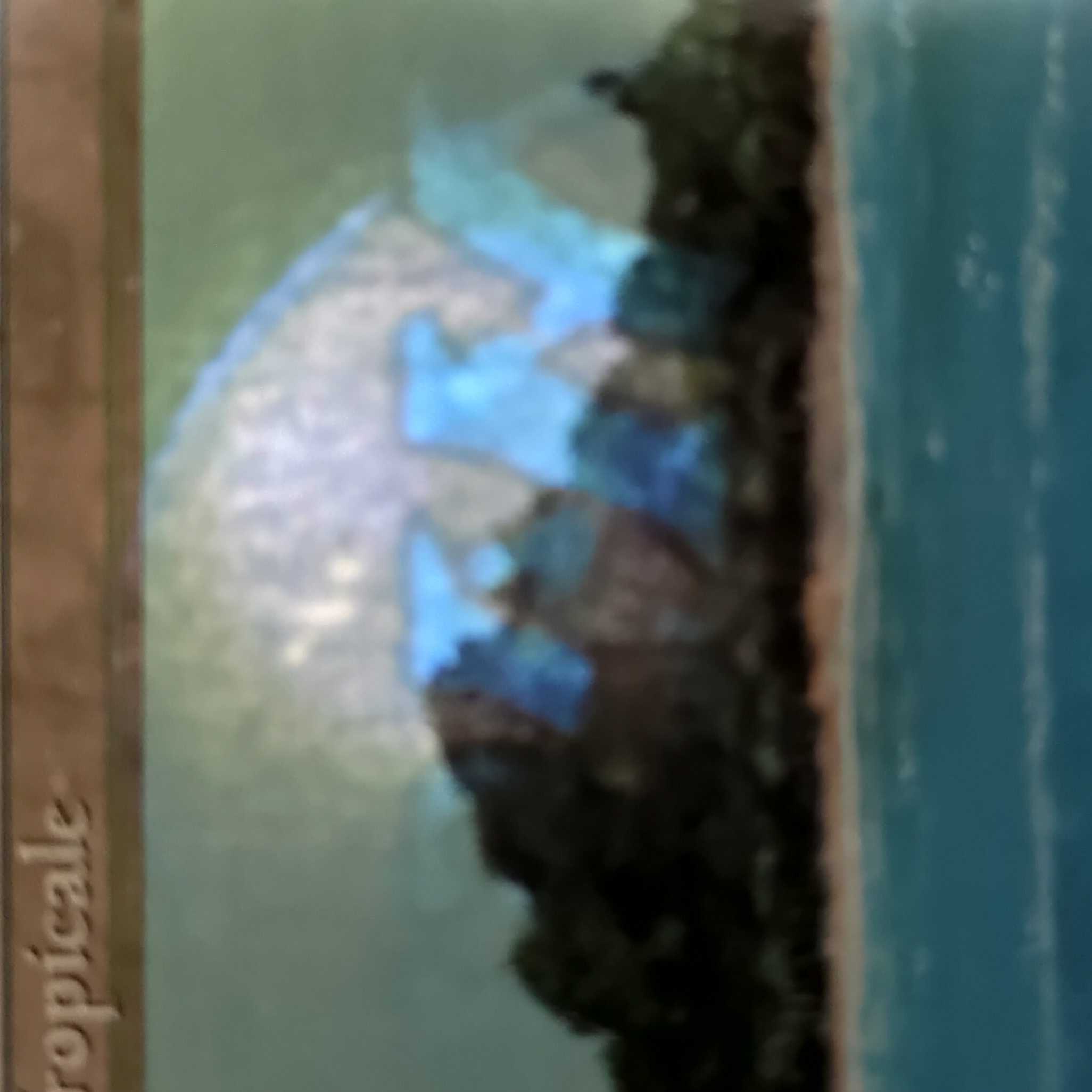 【イタリア語】Tropical Island